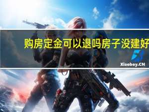 购房定金可以退吗房子没建好（购房定金可以退吗）