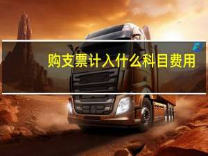 购支票计入什么科目费用（购支票计入什么科目）