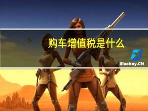 购车增值税是什么