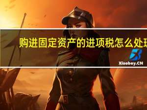 购进固定资产的进项税怎么处理