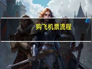 购飞机票流程