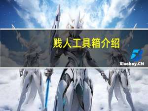 贱人工具箱介绍（贱人的英文）