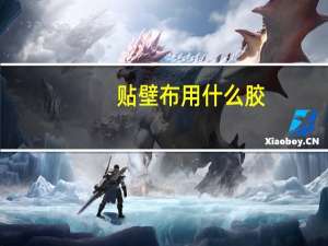 贴壁布用什么胶