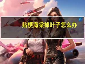贴梗海棠掉叶子怎么办