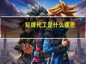 贴牌代工是什么意思（贴牌是什么意思）