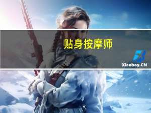 贴身按摩师（小说）