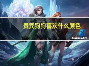 贵宾狗狗喜欢什么颜色