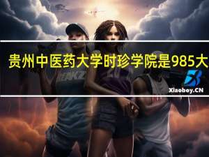 贵州中医药大学时珍学院是985大学吗