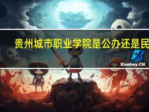 贵州城市职业学院是公办还是民办