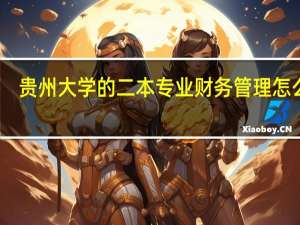 贵州大学的二本专业 财务管理怎么样