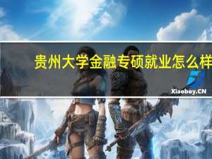 贵州大学金融专硕就业怎么样