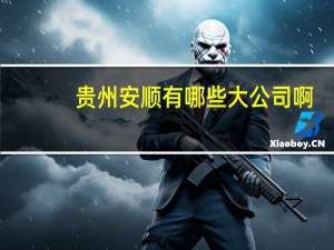 贵州安顺有哪些大公司啊