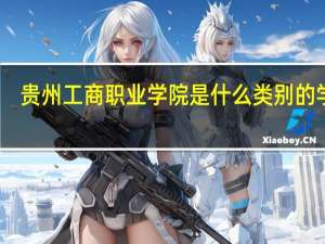 贵州工商职业学院是什么类别的学校