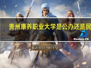 贵州康养职业大学是公办还是民办