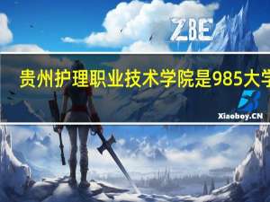 贵州护理职业技术学院是985大学吗