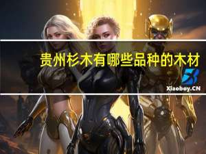 贵州杉木有哪些品种的木材