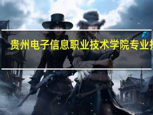贵州电子信息职业技术学院专业排名