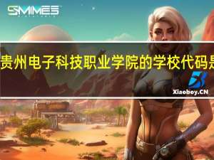 贵州电子科技职业学院的学校代码是什么