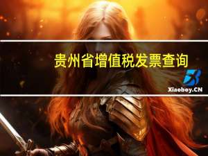 贵州省增值税发票查询（贵州国税发票查询）