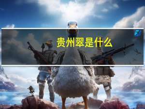 贵州翠是什么