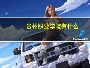 贵州职业学院有什么