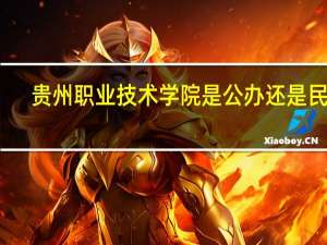 贵州职业技术学院是公办还是民办