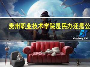 贵州职业技术学院是民办还是公办