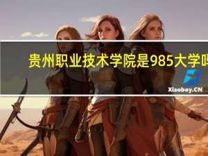 贵州职业技术学院是985大学吗