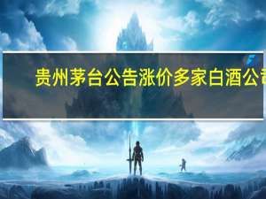 贵州茅台公告涨价 多家白酒公司：静观其变