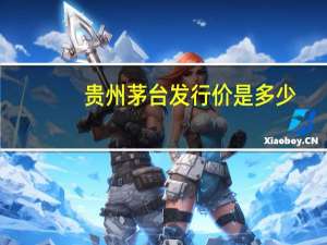 贵州茅台发行价是多少