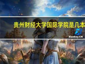 贵州财经大学国际学院是几本