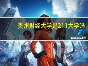 贵州财经大学是211大学吗