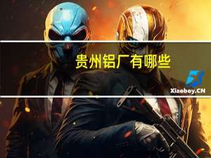 贵州铝厂有哪些
