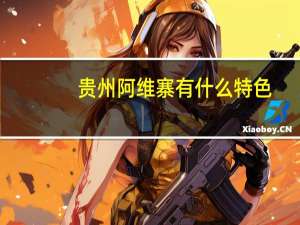 贵州阿维寨有什么特色