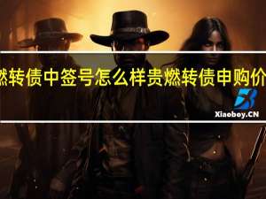 贵燃转债中签号怎么样 贵燃转债申购价值怎么样