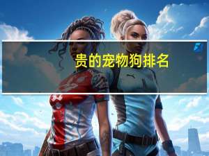 贵的宠物狗排名