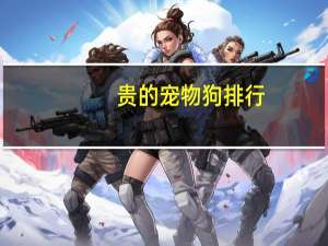 贵的宠物狗排行