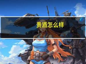 贵酒怎么样
