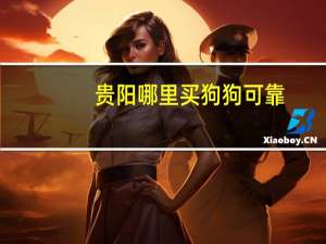 贵阳哪里买狗狗可靠