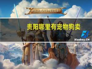 贵阳哪里有宠物狗卖