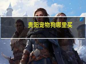 贵阳宠物狗哪里买