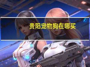 贵阳宠物狗在哪买