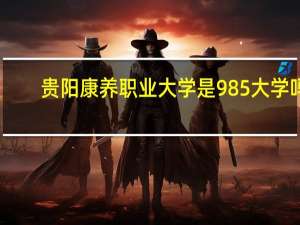 贵阳康养职业大学是985大学吗