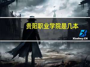贵阳职业学院是几本
