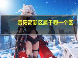 贵阳高新区属于哪一个区
