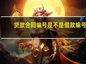 贷款合同编号是不是借款编号