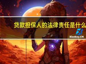 贷款担保人的法律责任是什么