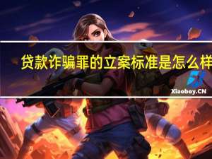 贷款诈骗罪的立案标准是怎么样的