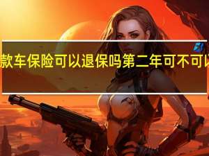 贷款车保险可以退保吗 第二年可不可以自己买？