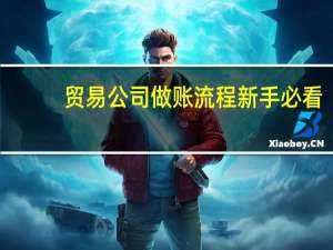 贸易公司做账流程新手必看（贸易公司做账流程）